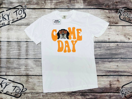 Game Day TN Shirt